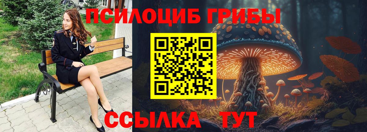 А ПВП Выкса