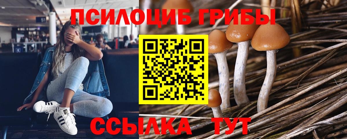 Галлюциногенные грибы Psilocybe  Вход с VPN  Галлюциногенные грибы Psilocybine cubensis  Выкса 